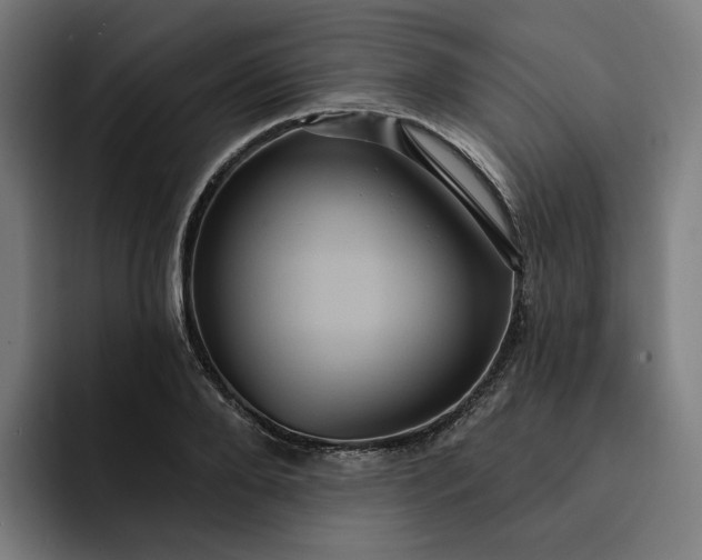 X0000093250888200710101439