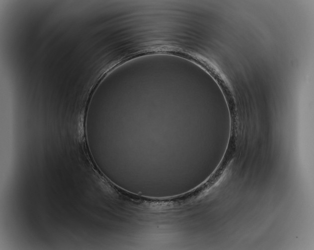 X0000093250889200710101439