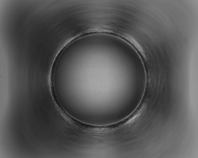 X0000093250893200710101438