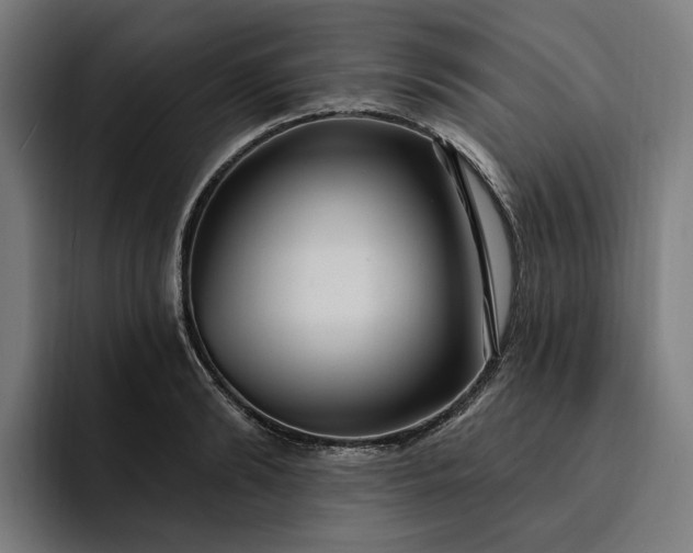 X0000093250894200710101438