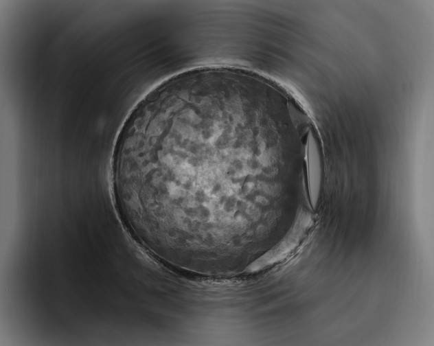 X0000093250895200710101438