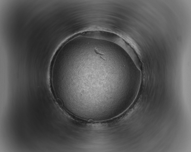 X0000093250896200710101438