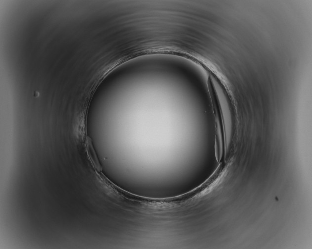 X0000093250897200710101438