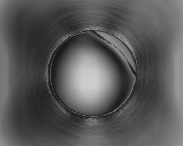 X0000093250898200710101438