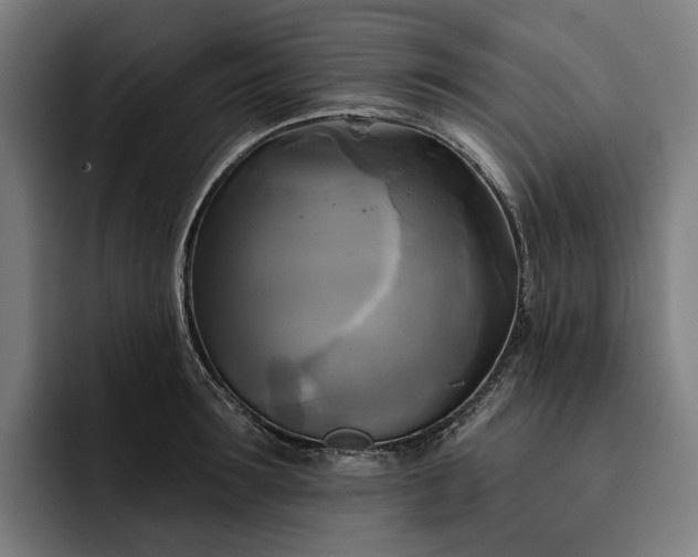 X0000093250899200710101438