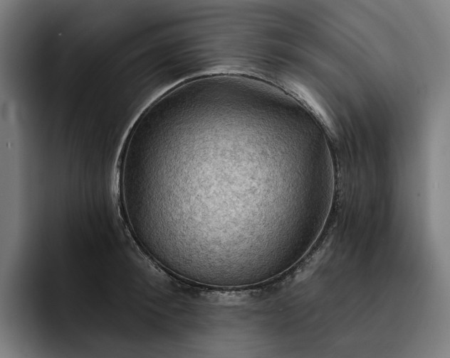 X0000093250900200710101438