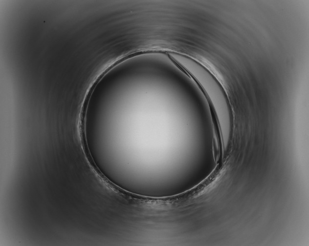 X0000093250901200710101438