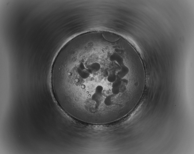 X0000093250903200710101438