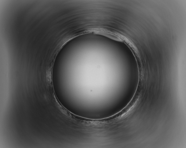 X0000093250905200710101438