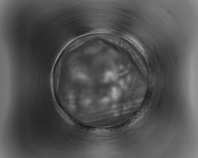 X0000093250907200710101438