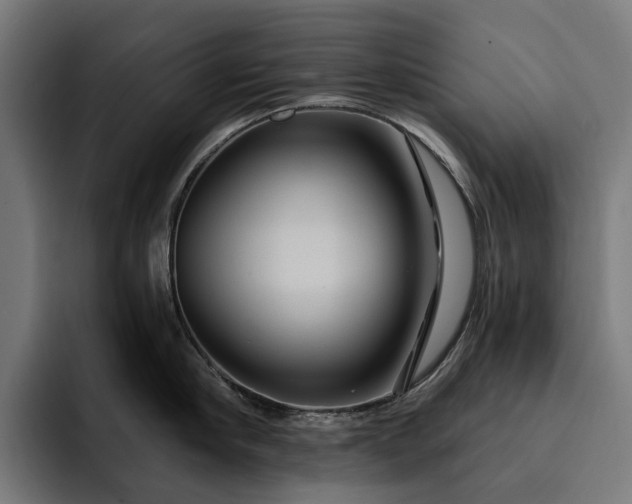 X0000093250910200710101438