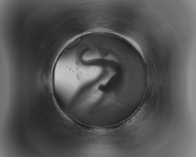 X0000093250911200710101438