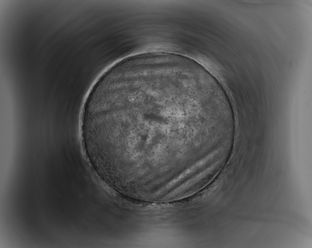 X0000093250912200710101438