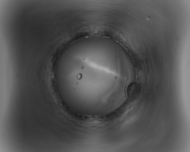 X0000093250913200710101438