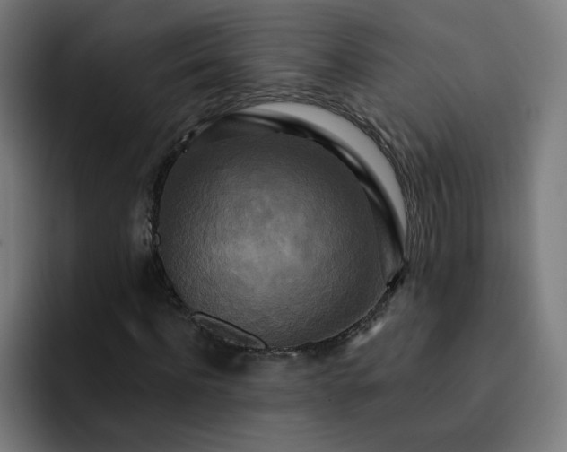 X0000093250916200710101438