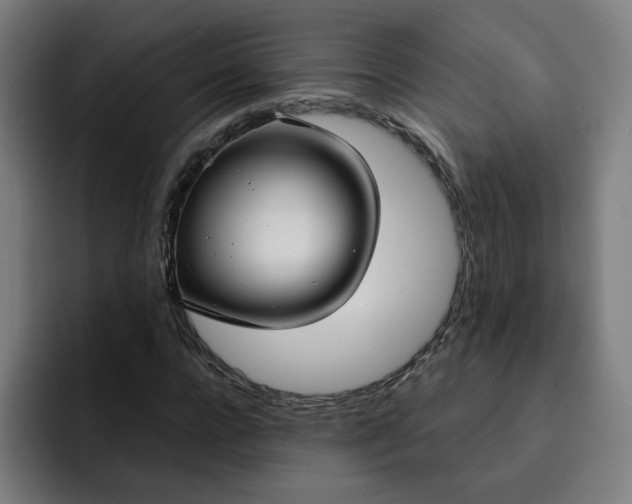 X0000093250920200710101438