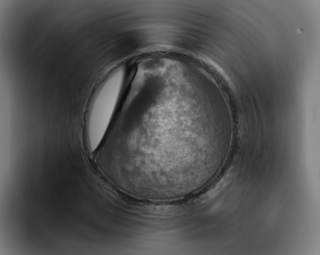 X0000093250921200710101438