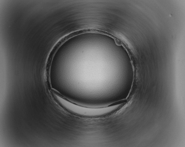 X0000093250924200710101438