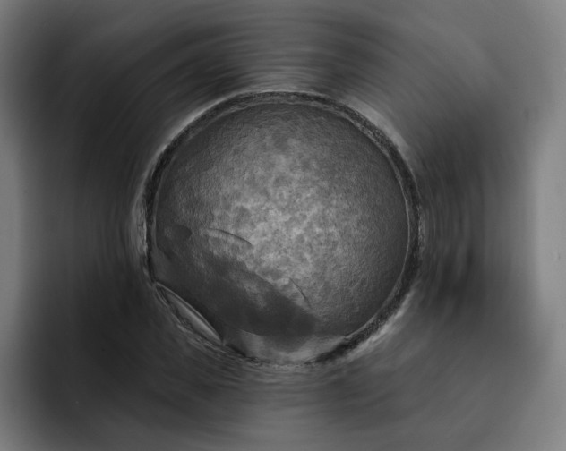 X0000093250925200710101438