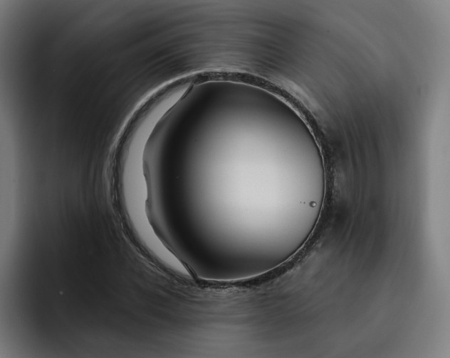 X0000093250926200710101438