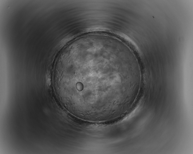 X0000093250929200710101438