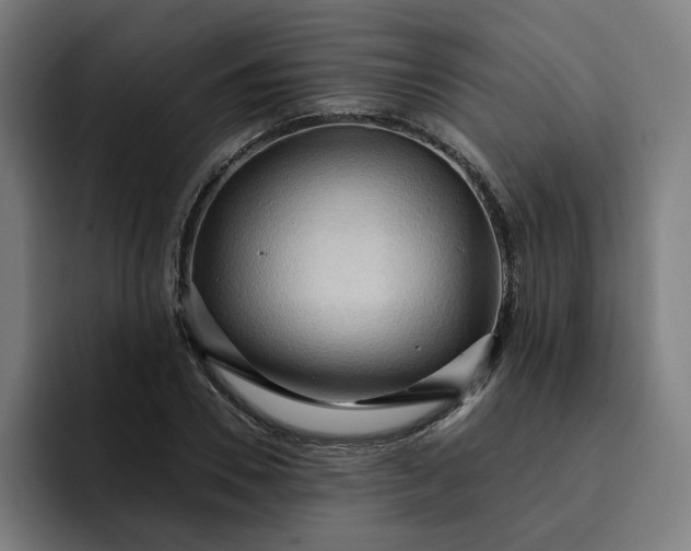 X0000093250930200710101438