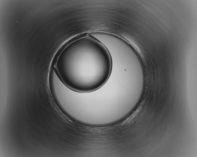 X0000093250932200710101438