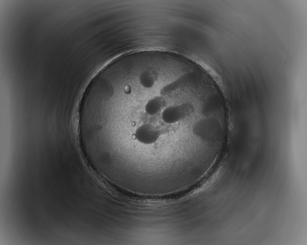 X0000093250933200710101438