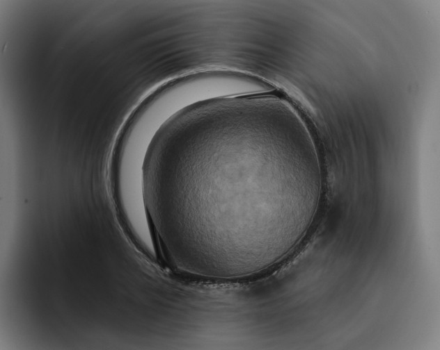 X0000093250934200710101438