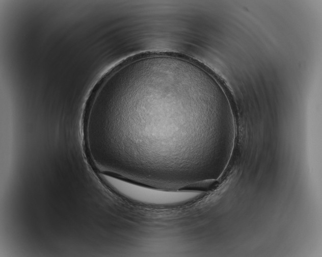 X0000093250935200710101438