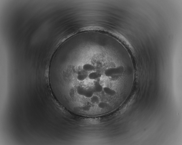 X0000093250937200710101438