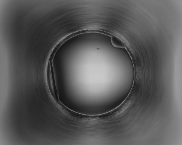 X0000093250939200710101438