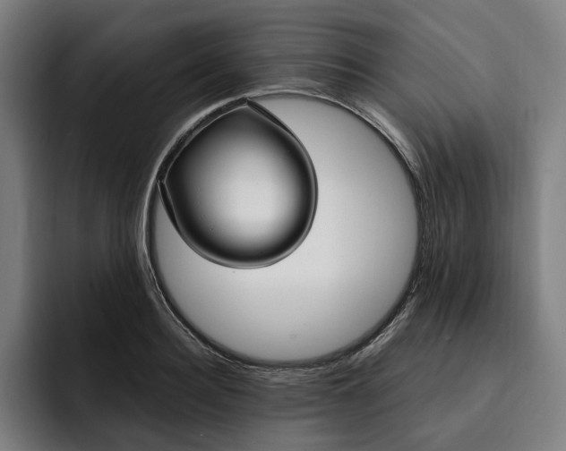 X0000093250940200710101438