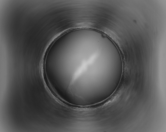 X0000093250941200710101438