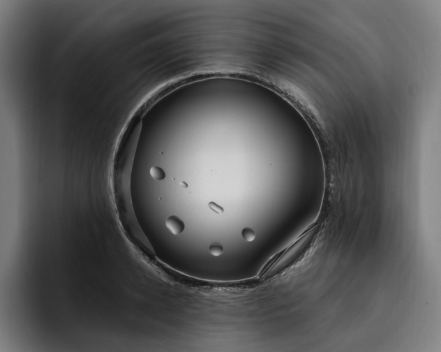 X0000093250942200710101438