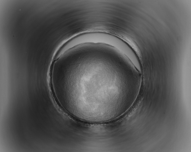 X0000093250944200710101438