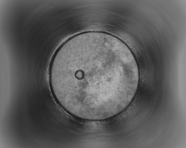 X0000093250950200710101438