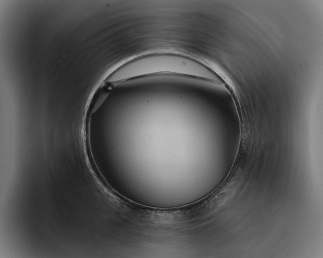 X0000093250951200710101438