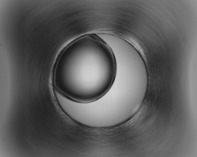 X0000093250952200710101438