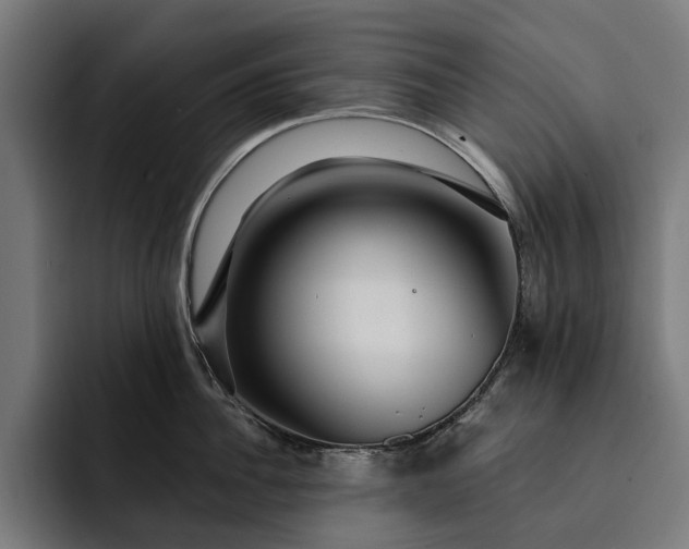 X0000093250956200710101438