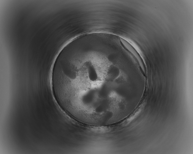 X0000093250957200710101438