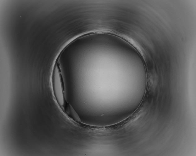 X0000093250959200710101438