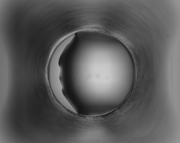 X0000093250960200710101438