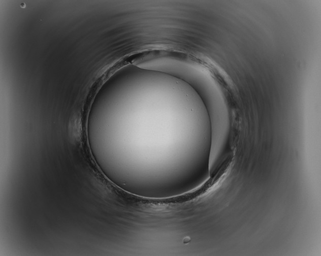 X0000093250969200710101437