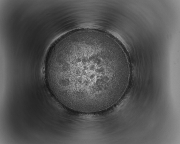 X0000093250971200710101437