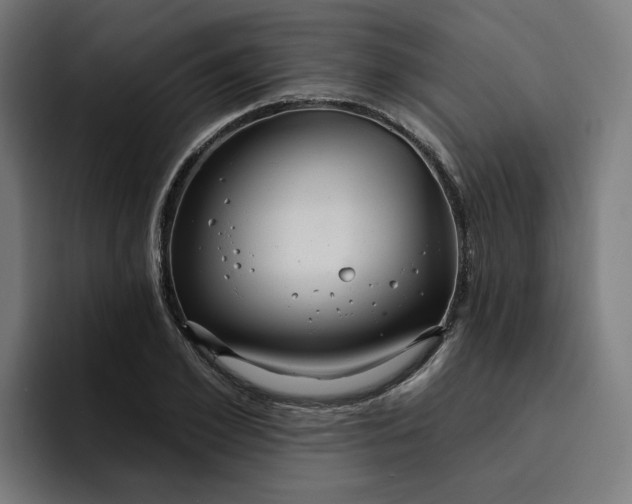 X0000093250981200710101437