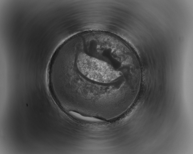 X0000093250983200710101437