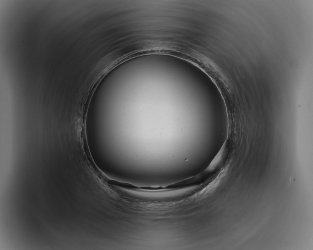 X0000093250985200710101437