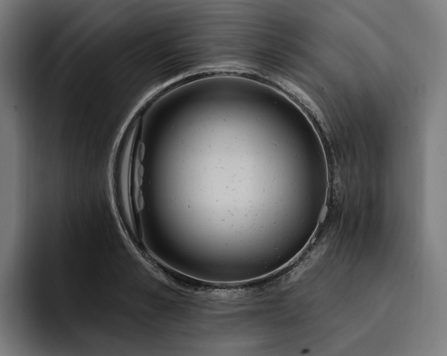 X0000093250989200710101437