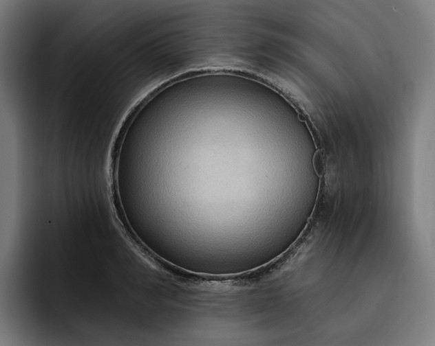 X0000093250990200710101437